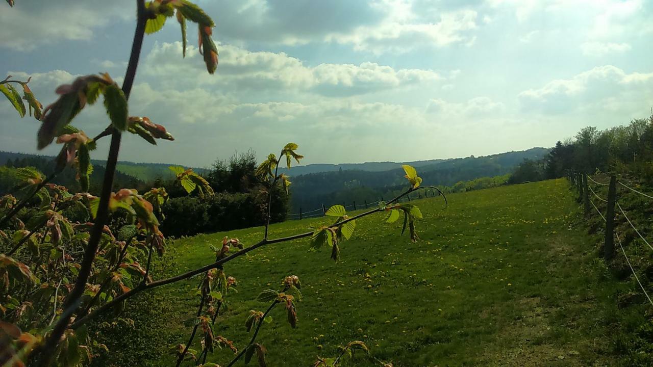 B&B All Seasons Winterberg Exterior foto